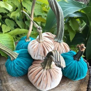 Velvet pumpkins